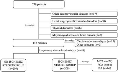 Effect of Cerebral Ischemic Strokes in Different Cerebral Artery Regions on Left <mark class="highlighted">Ventricular Function</mark>